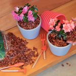 Casca de Pinus Polida Mini 1kg Tramontina UN