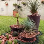 Casca de Pinus Polida M 1kg Tramontina UN