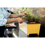 Tesoura para Frutas com Lâminas em Inox Tramontina UN