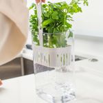 Organizador de Temperos 2,3L Clear Fresh Ou UN