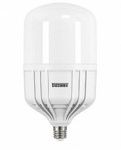 Lampada Fria 40W LED Alta Potência 65000K - Taschibra UN