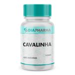 Cavalinha 100mg