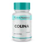 Colina 250mg 60 Cápsulas