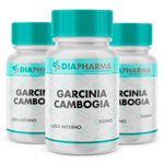 Kit 3 Frascos de Garcinia Cambogia 500mg 60 cápsulas