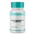 Xanthoparmelia Scabrosa 100mg