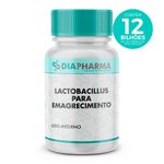 Lactobacillus para Emagrecimento 60 Cápsulas