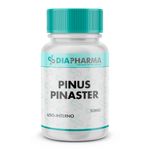 Pinus Pinaster 50mg
