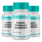 Kit 3 Maca Peruana 500mg + Tribullus Terrestris 300mg 60 Doses