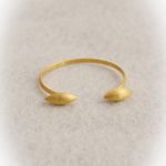 Bracelete Casulo Duplo Ouro