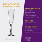 Jogo 2 Taças de Cristal Para Champagne 190 ml Angela Bohemia