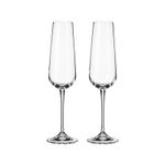 Jogo com 2 Taças de Cristal Para Champagne 220 ml Ardea Bohemia
