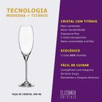 Jogo com 2 Taças de Cristal para Champagne com 290 ml Linha Carduelis Bohemia