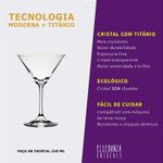 Jogo com 2 Taças De Cristal Para Martini 210 ml Roberta Bohemia