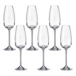 Jogo com 6 Taças de Cristal Para Champagne 290 ml Linha Anser Bohemia