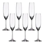 Jogo com 6 Taças De Cristal Para Champagne 250 ml Linha Milvus Bohemia