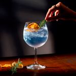 Jogo com 2 Taças De Cristal Para Bourgogne ou Gin 600 ml Roberta Bohemia