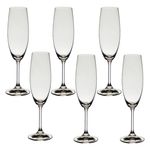Jogo com 6 Taças de Cristal Para Champagne 220 ml Anna Bohemia