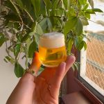 Copo de Cristal Para Shot 50 ml Ardea Bohemia