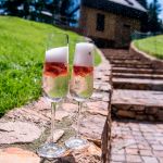 Jogo com 2 Taças de Cristal Para Champagne 220 ml Ardea Bohemia
