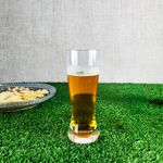 Copo De Cristal Para Cerveja 210 ml Catarinense Bohemia