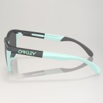 Óculos de Sol Oakley Frogskins Range Matte Carbon Prizm Black