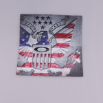 Kit USA Flag Lens Cleaning