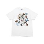Camiseta Hanes Butterflies Of The World Vintage
