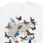 Camiseta Hanes Butterflies Of The World Vintage