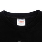 Camiseta Cher Farewell Tour Vintage 2003