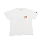 Camiseta Hanes Talbot Envirothon Vintage 1998 