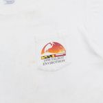 Camiseta Hanes Talbot Envirothon Vintage 1998 