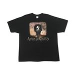 Camiseta Anvil Alice In Chains Vintage 