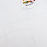 Camiseta Hanes Talbot Envirothon Vintage 1998 