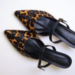 MULE  ANIMAL PRINT ONCINHA PRETO