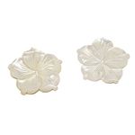 Base Flor Madrepérola 5 Pontas 2,5 CM