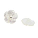 Base Flor Arredondada 1 cm