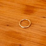Piercing Furo Argola Lisa