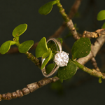 Anel Solitário Moissanite 7 mm