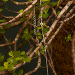Pulseira Amélie