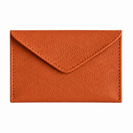 Mini Envelope 