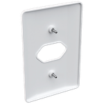 Placa 4X2 para 1 Tomada Horizontal Milleniun (39019)
