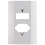 Placa 4X2 para 1 Interruptor + 1 Tomada Horizontal Milleniun (39094)