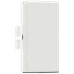 Conjunto Sobrepor Milleniun com 2 Interruptores Simples 10A/250Vca Engate Convencional (61003)