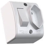 1 Interruptor Paralelo + Tomada 2P+T 10A/250Vca Milleniun (39196)