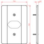 Placa 4X2 para 1 Tomada Horizontal Milleniun (39019)