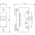 DQE1070 - Disjuntor NEMA, 1 Polo, 70A, 5kA/127Vca, 3kA/220Vca (E89184)