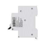 JWDB240P- Disjuntor Diferencial B, 2 Polos, 6kA, 40A, 30mA - (E92042)