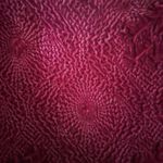 Calça Aladin Velvet