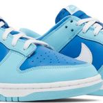 Tênis Nike Dunk Low Retro Argon 22