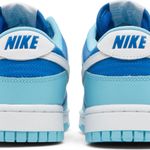Tênis Nike Dunk Low Retro Argon 22